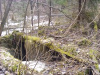 IMG_20150425_135413.jpg (1.97 МБ) 7063 просмотра IMG_20150425_135413.jpg