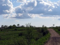 Image 033.jpg (232.51 КБ) 26071 просмотр Image 033.jpg