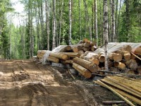 Image 026.jpg (423.71 КБ) 26066 просмотров Image 026.jpg