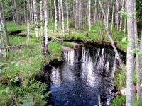 Image 017.jpg (500.76 КБ) 26071 просмотр Image 017.jpg