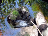 Image 014.jpg (400.79 КБ) 26093 просмотра Image 014.jpg