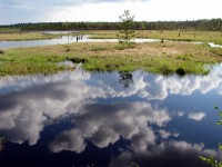 Image 012.jpg (234.34 КБ) 26075 просмотров Image 012.jpg