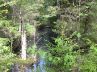 Image 005.jpg (466.44 КБ) 26052 просмотра Image 005.jpg