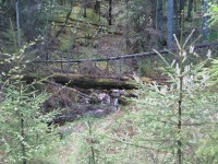 Image 004.jpg (455.49 КБ) 26093 просмотра Image 004.jpg