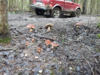 dscn1100-qpr.jpg (237.42 КБ) 13664 просмотра dscn1100-qpr.jpg