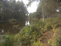 16.JPG (357.28 КБ) 11555 просмотров 16.JPG