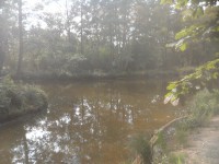 15.JPG (308.32 КБ) 10322 просмотра 15.JPG