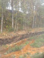 12.JPG (572.12 КБ) 10315 просмотров 12.JPG