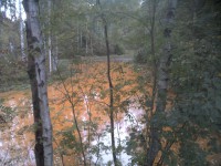 10.JPG (369.36 КБ) 10321 просмотр 10.JPG