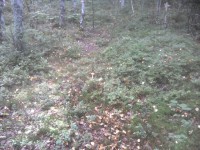 09.JPG (377.9 КБ) 10327 просмотров 09.JPG