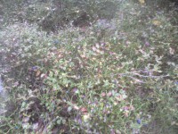 08.JPG (374.22 КБ) 10314 просмотров 08.JPG