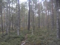 07.JPG (325.81 КБ) 10334 просмотра 07.JPG