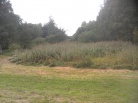 04.JPG (288.73 КБ) 10327 просмотров 04.JPG