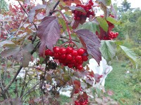 20150919_110401.jpg