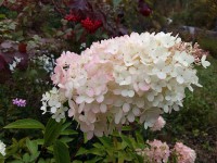 20150919_110322.jpg (109.75 КБ) 18611 просмотров 20150919_110322.jpg