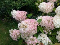 20150919_110329.jpg (152.86 КБ) 19087 просмотров 20150919_110329.jpg