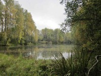 IMG_5123_1.jpg (62.14 КБ) 18621 просмотр IMG_5123_1.jpg