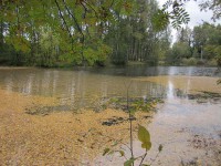 IMG_5107_1.jpg (66.8 КБ) 18709 просмотров IMG_5107_1.jpg