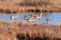 2.jpg (283 КБ) 18604 просмотра 2.jpg