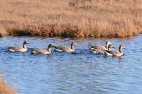 3.jpg (238.68 КБ) 19083 просмотра 3.jpg