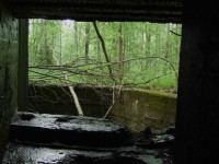 DSCF6693.jpg