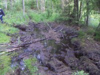 Изображение 202.jpg (400.13 КБ) 12218 просмотров Изображение 202.jpg