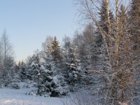 P1062246.JPG
