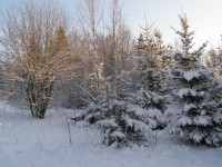 P1062237.JPG