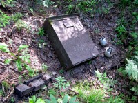 Image 220609 004.jpg