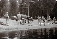 DSC_0118.JPG (776.73 КБ) 15013 просмотров DSC_0118.JPG