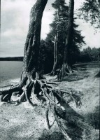 0016.jpg (1008.43 КБ) 15015 просмотров 0016.jpg