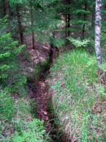 Image 220609 007.jpg