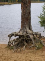 PA060734.JPG (965.68 КБ) 15008 просмотров PA060734.JPG