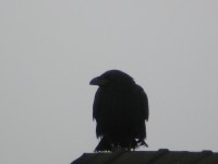 DSCN2466.JPG