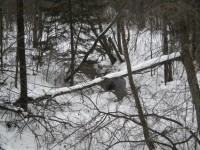 DSCN2457.JPG