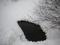 DSCN2456.JPG