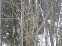 DSCN2446.JPG