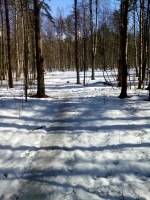 IMG_20160403_125300.jpg
