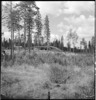 140556.jpg (504.76 КБ) 22288 просмотров 140556.jpg