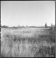 140514.jpg (321.71 КБ) 22742 просмотра 140514.jpg