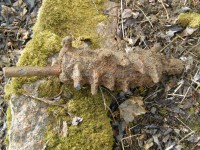 P4232323.JPG (1.21 МБ) 10664 просмотра P4232323.JPG