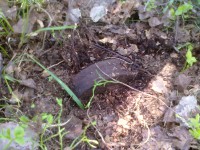 002.jpg (367.26 КБ) 10766 просмотров 002.jpg