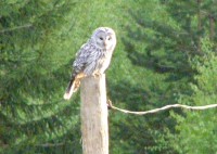 P5162402.JPG (257.33 КБ) 16477 просмотров P5162402.JPG