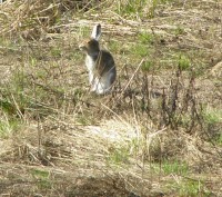 P5022335.JPG (380.32 КБ) 16498 просмотров P5022335.JPG