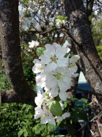 20160522_133005.jpg