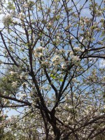 20160522_132946.jpg