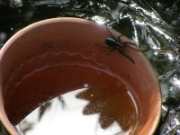 P6022463.JPG (545.4 КБ) 16137 просмотров P6022463.JPG