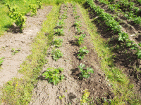 DSCF0398_1.gif
