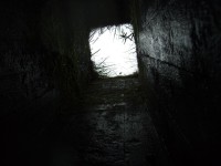 DSCF71881.jpg