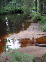 IMG_7312.JPG (414.1 КБ) 12533 просмотра IMG_7312.JPG